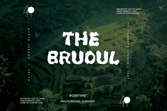 The Brudul Font: A Designer's Look at Digital Personality
