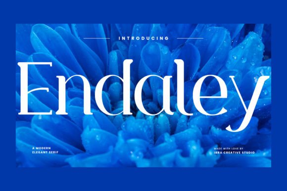 The Endaley Serif Font for Elegant and Professional Branding